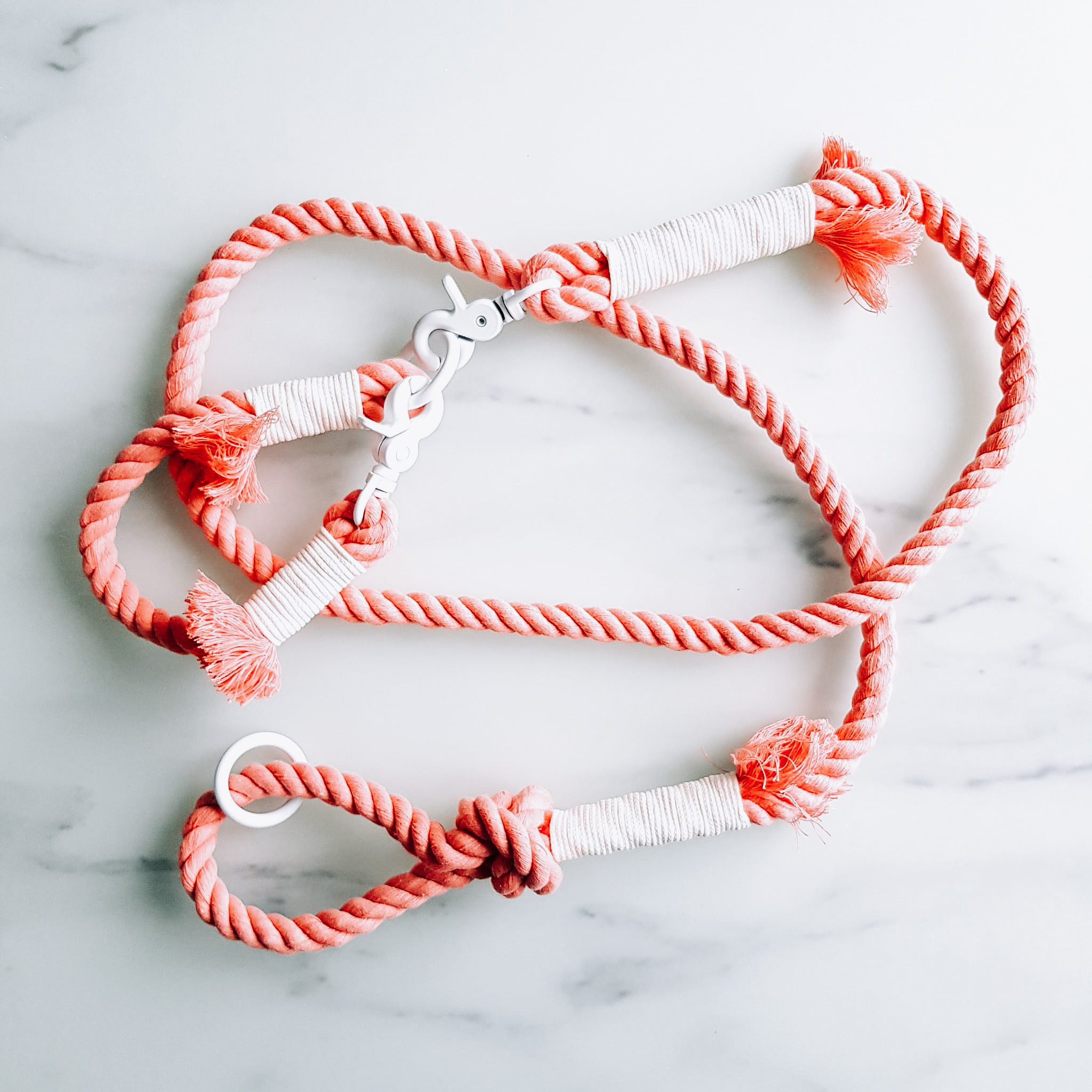 ensemble laisse collier chien Los Angeles