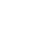 Icone médaille