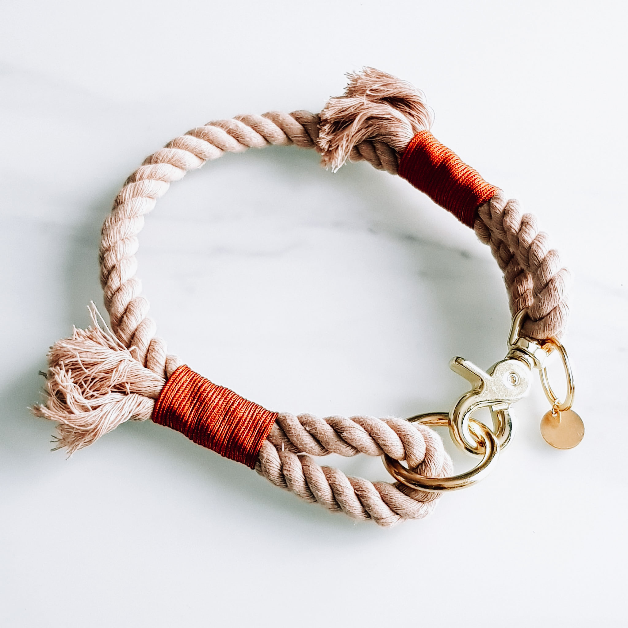 collier chien chat