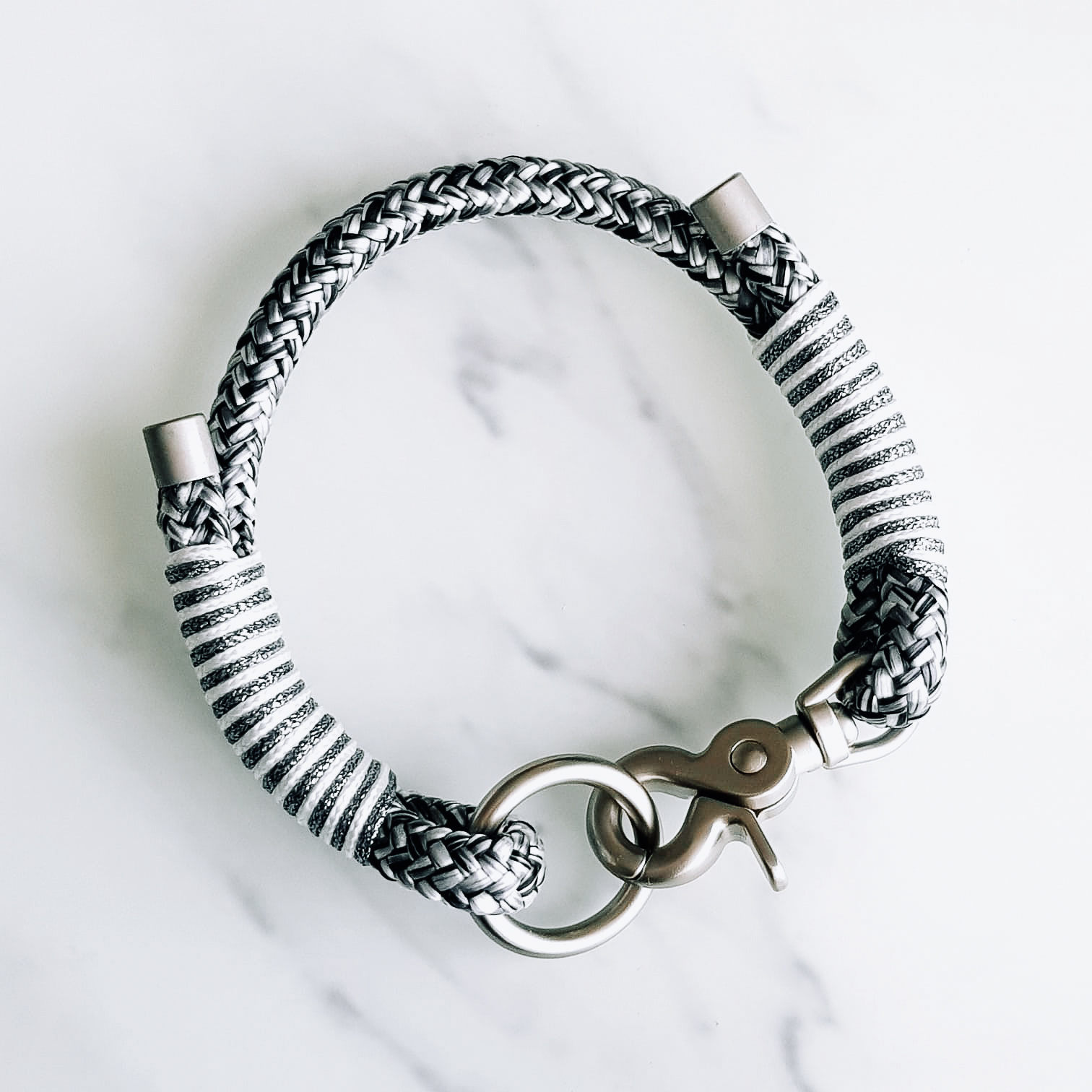 collier chien chat