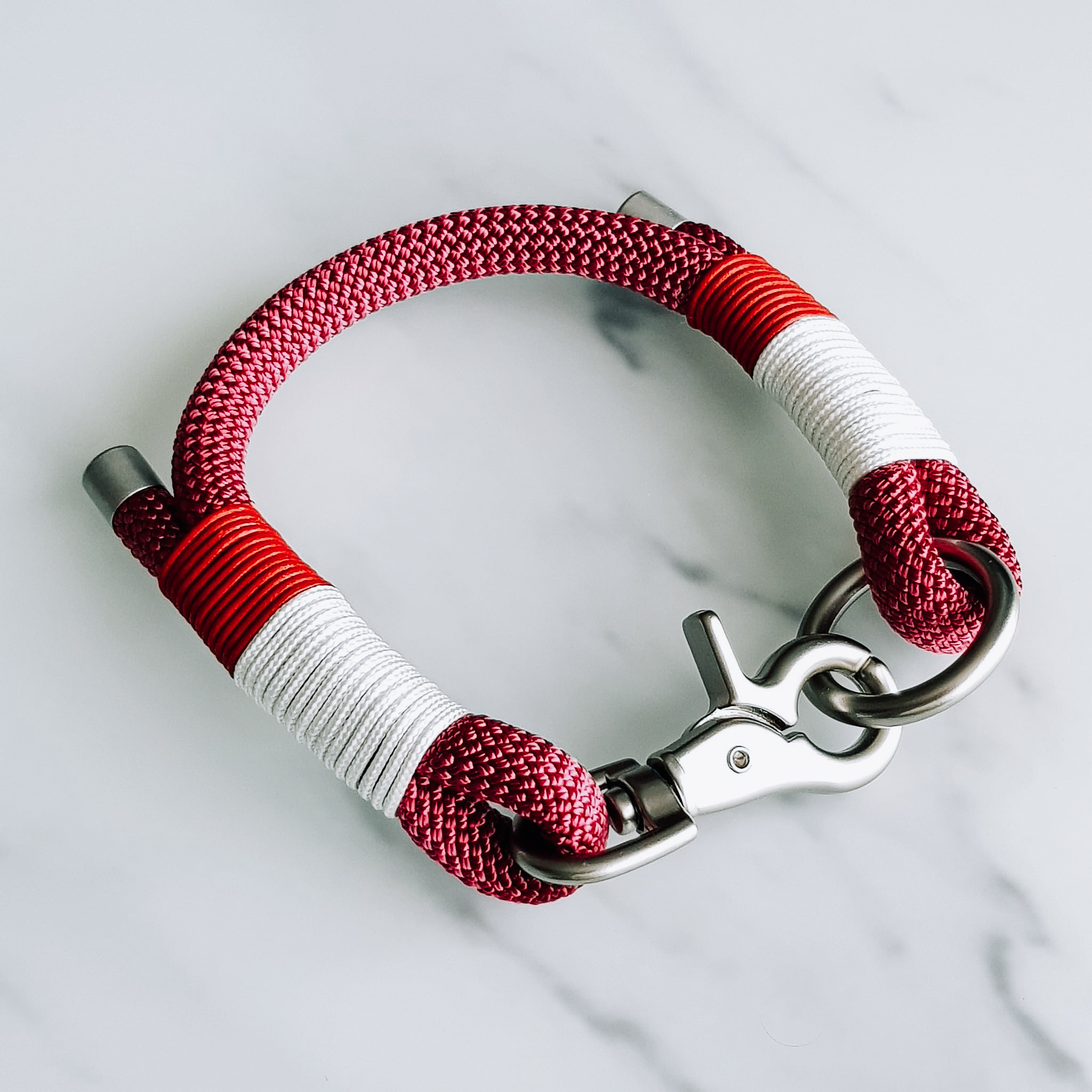 collier chien chat