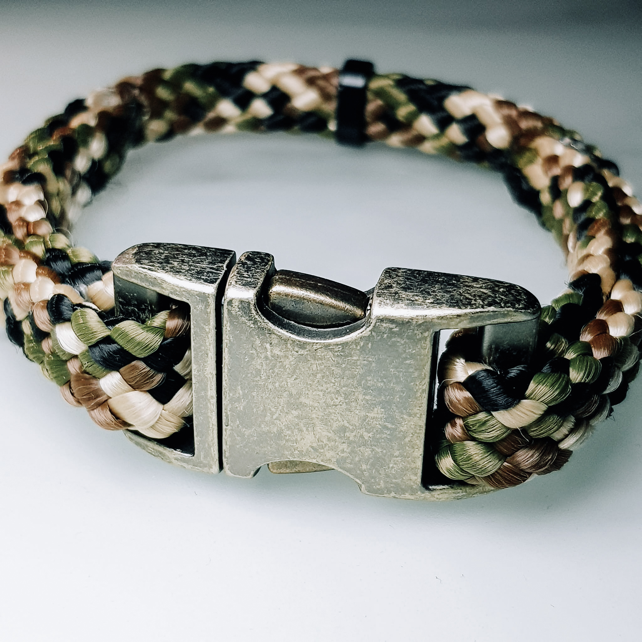 collier chien chat