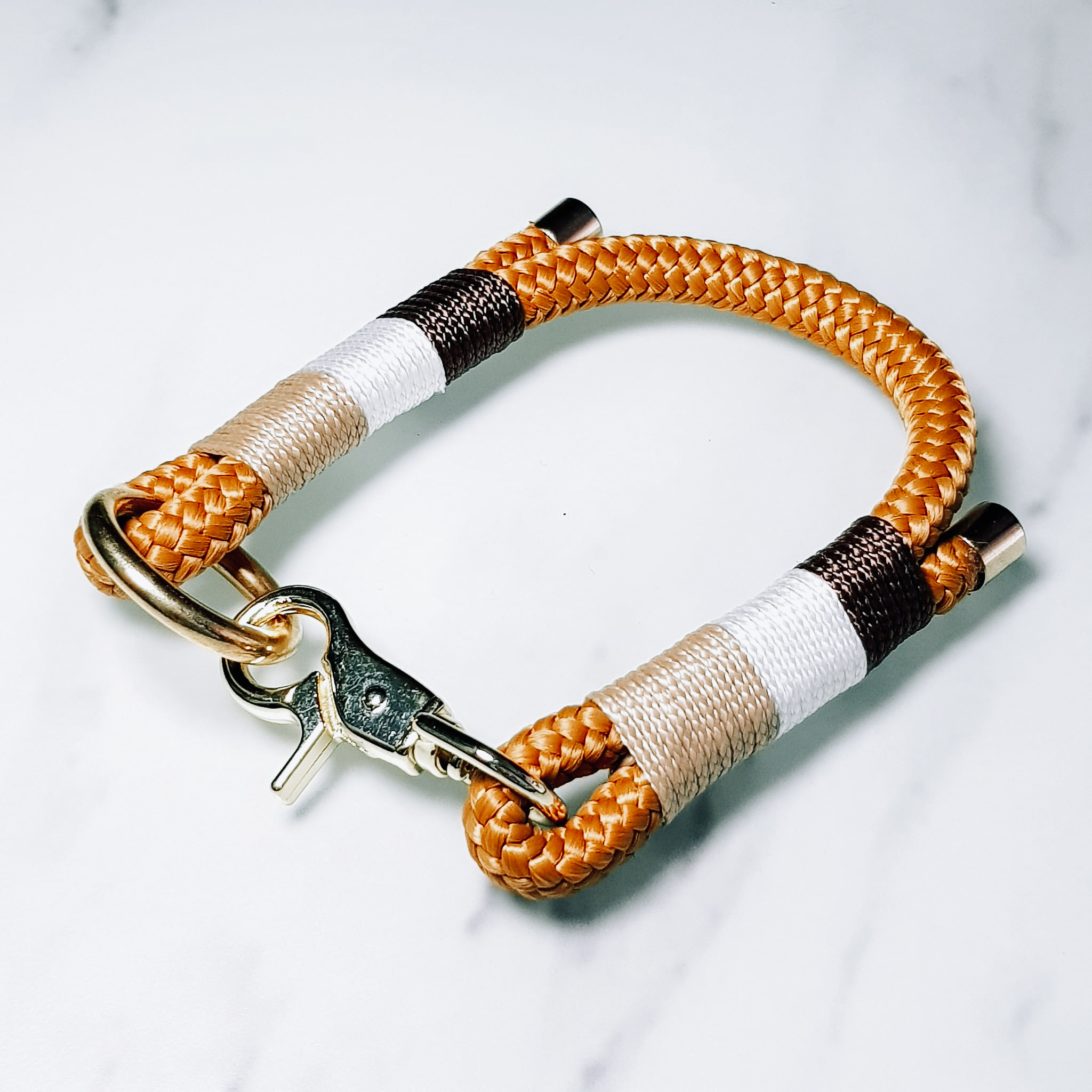 collier chien chat