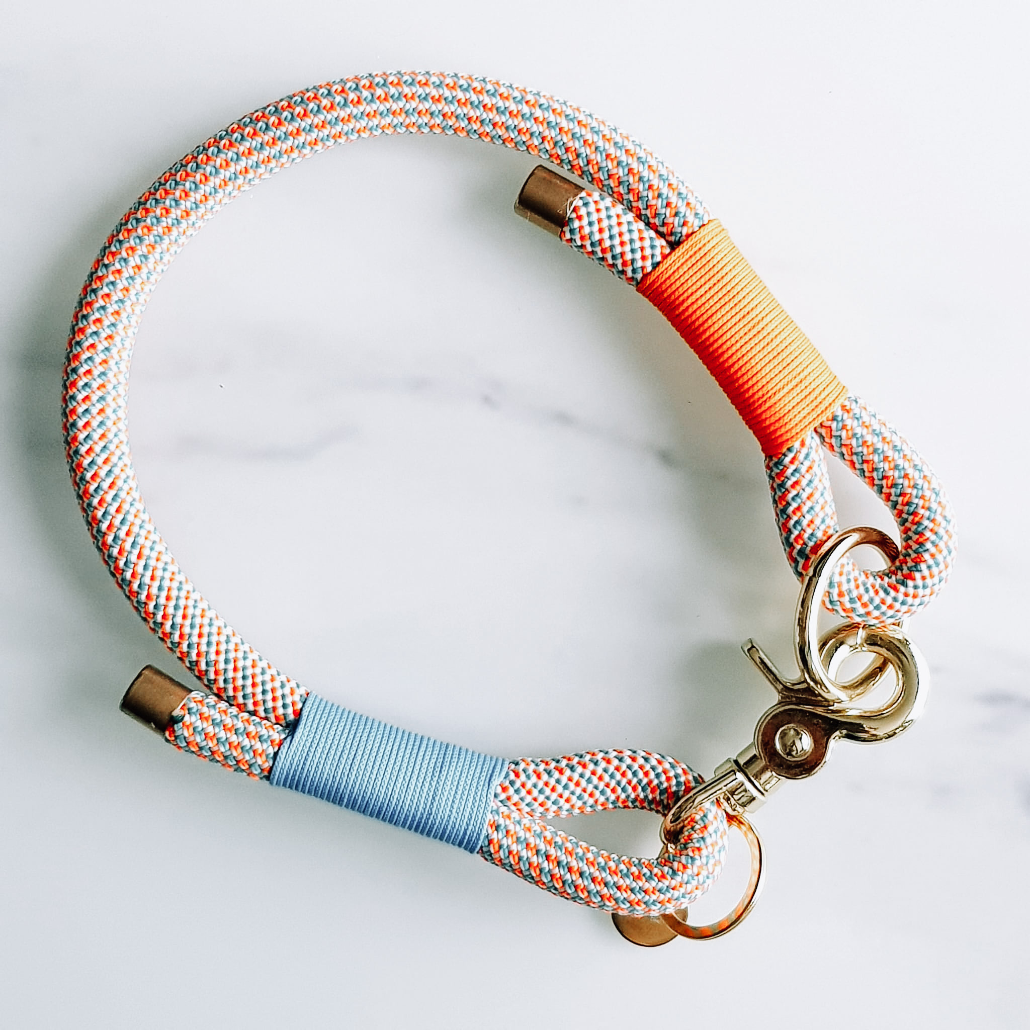 collier chien chat