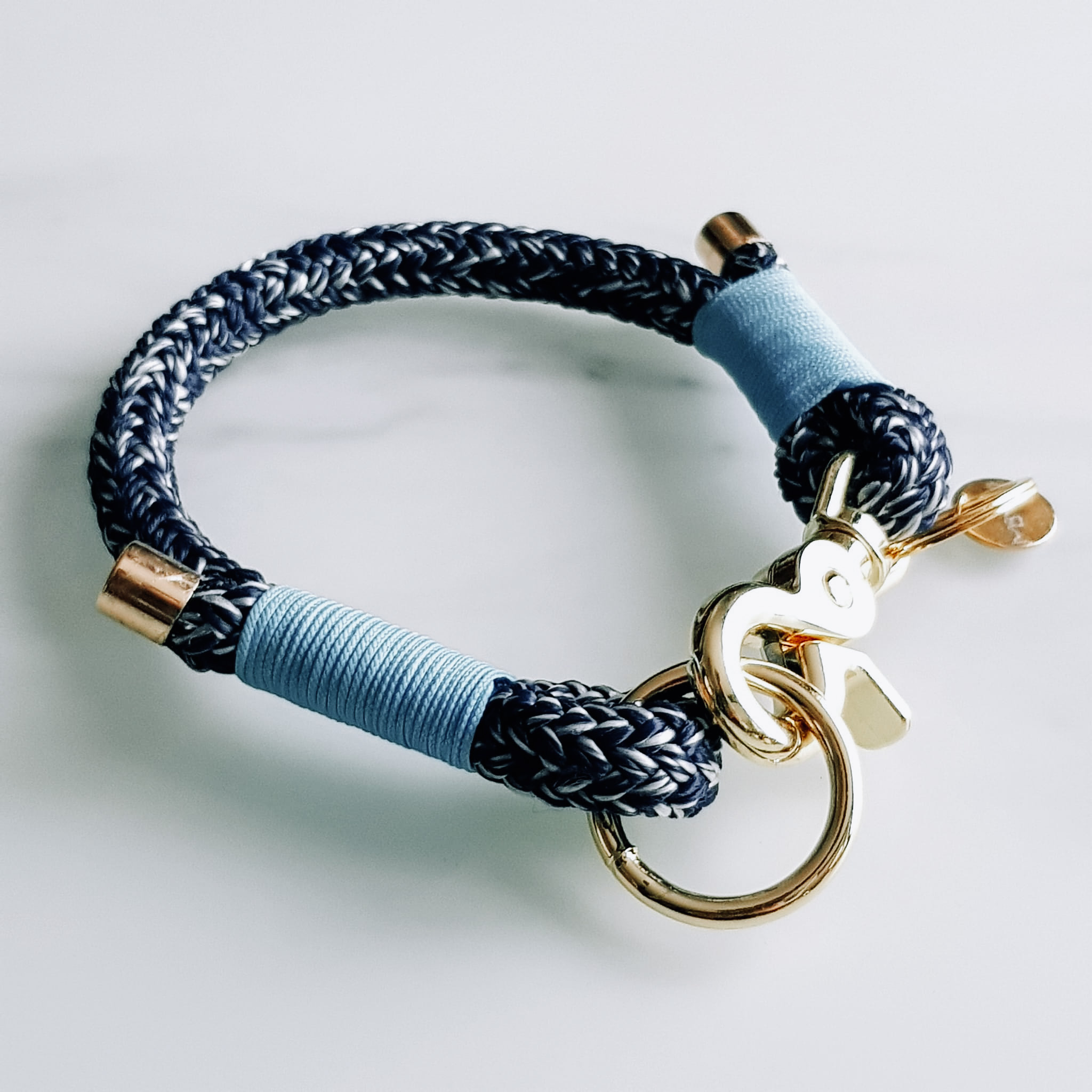 collier chien chat
