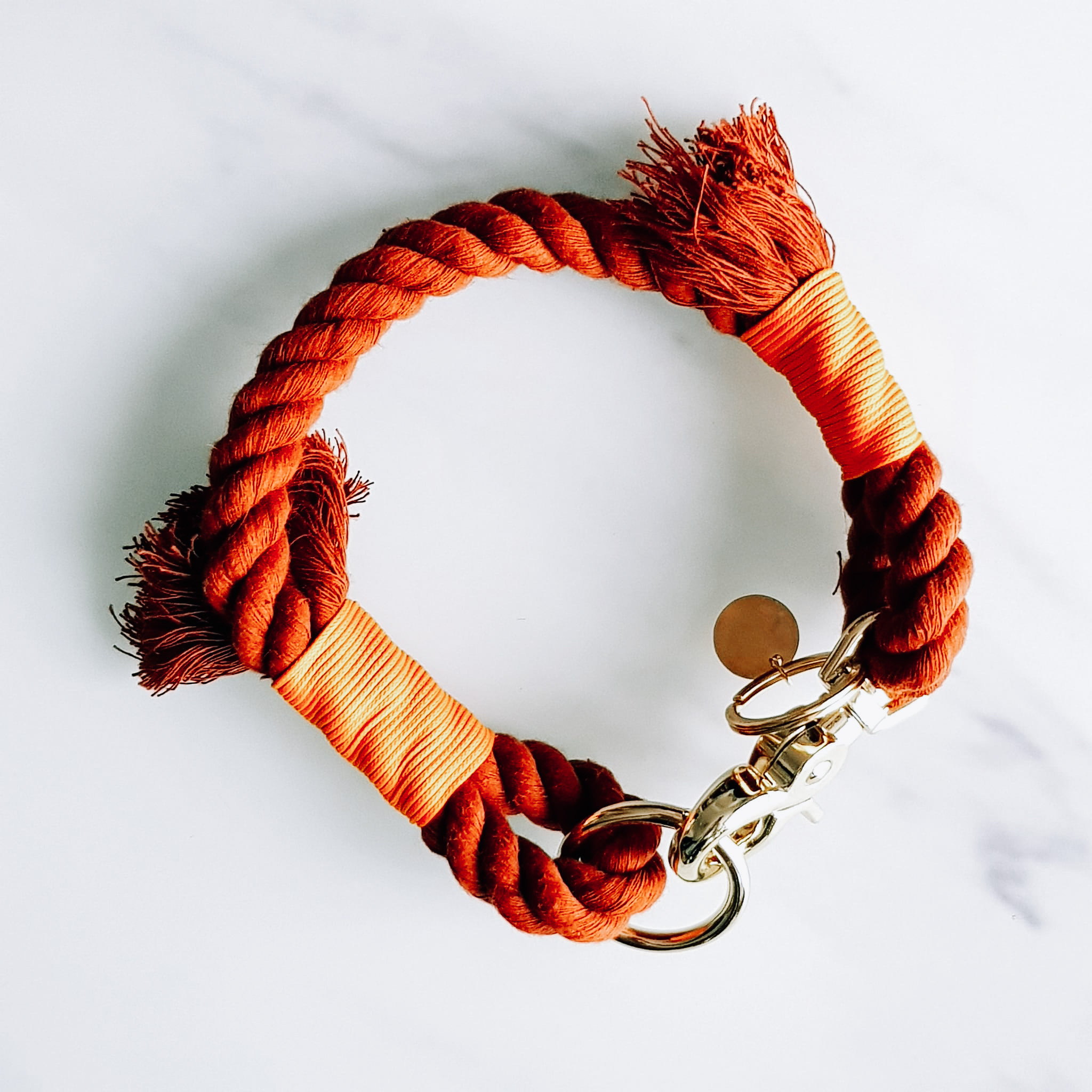 collier chien chat