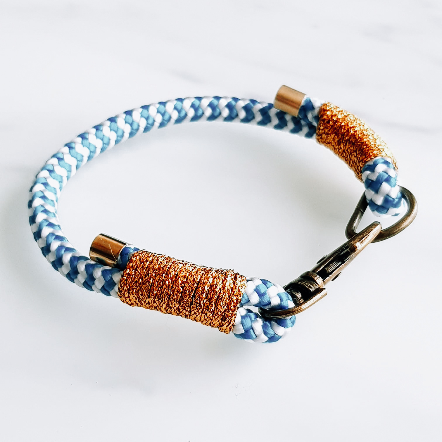 collier chien chat